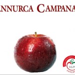 7_Melannurca Campana IGP