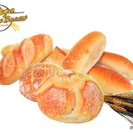 Panini